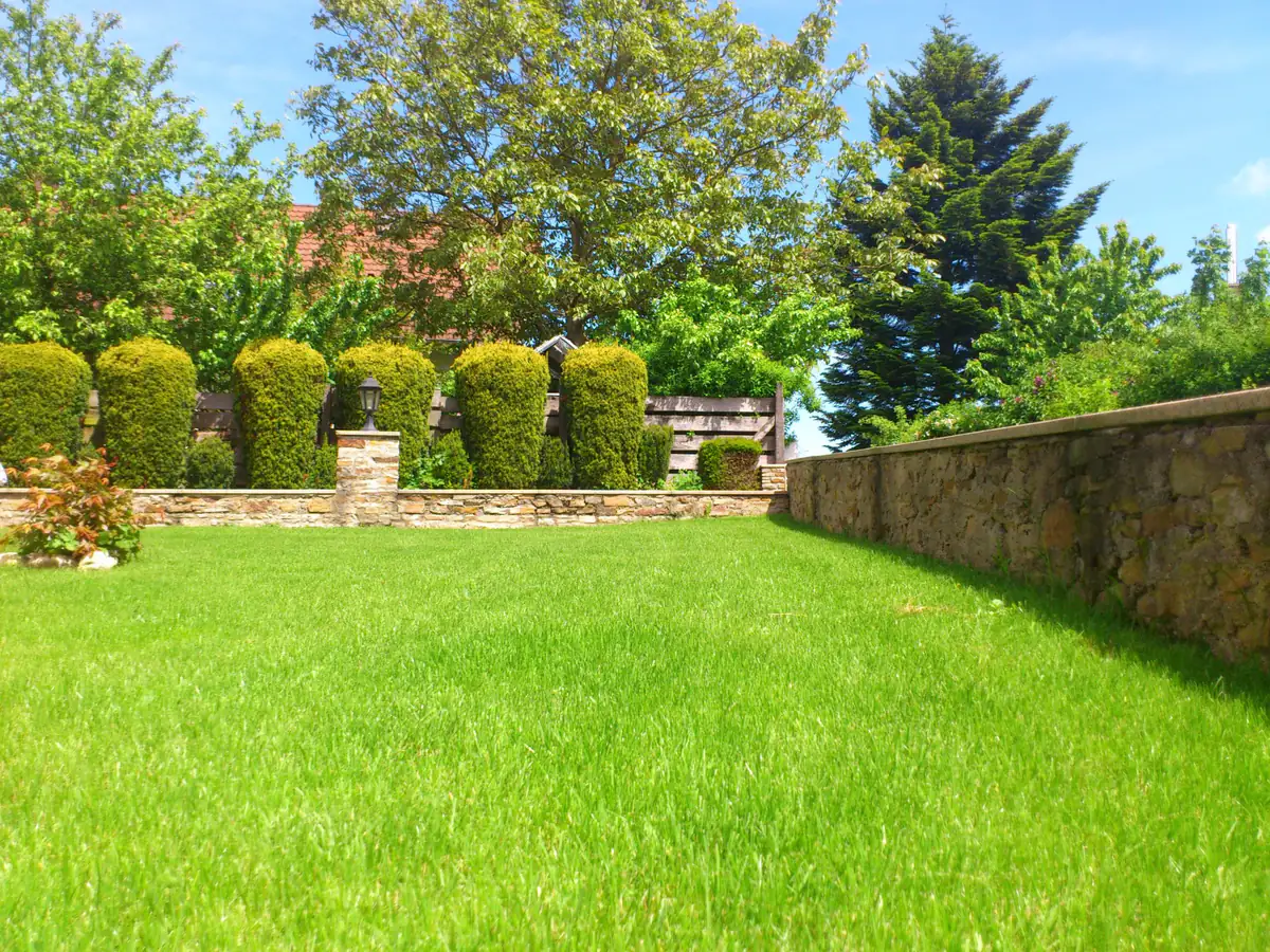 Jardin entretenu par un service de jardinage à Lausanne